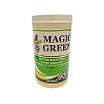 MAGIC GREEN CLEANER – 24 OUNCE